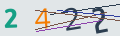 verifycode